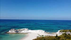 Conception Island east coast rock