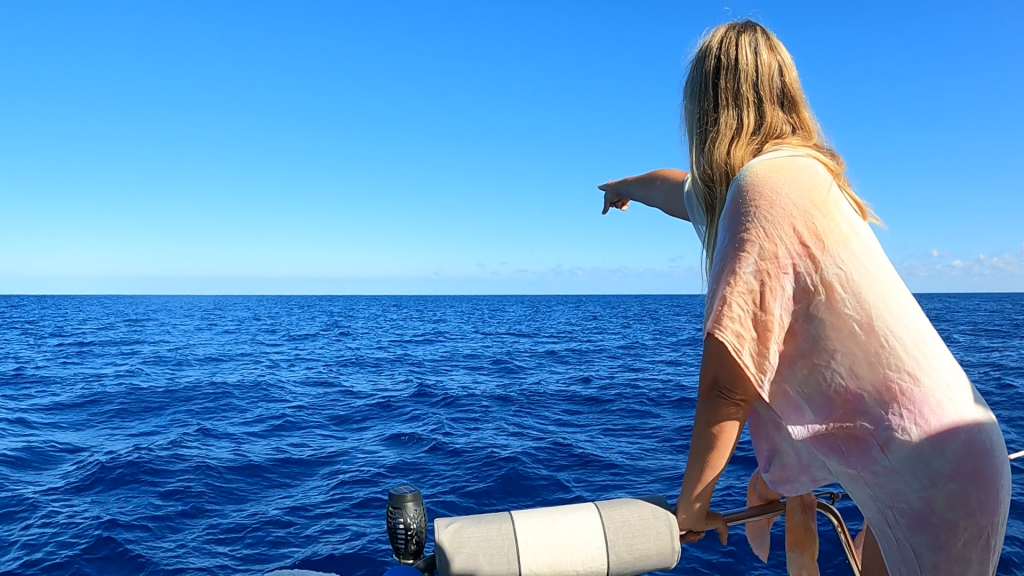 Lisa spotting whales